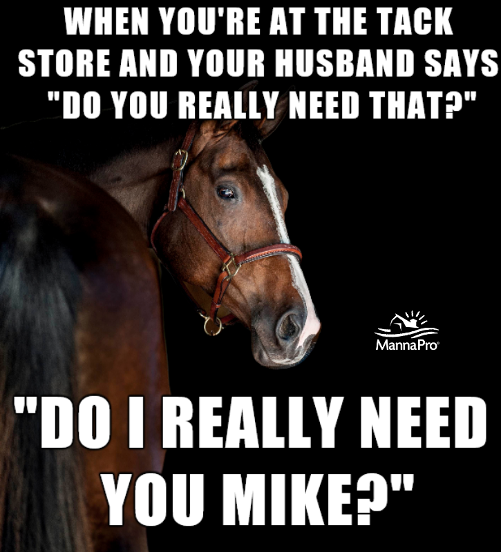 funny horse quotes
