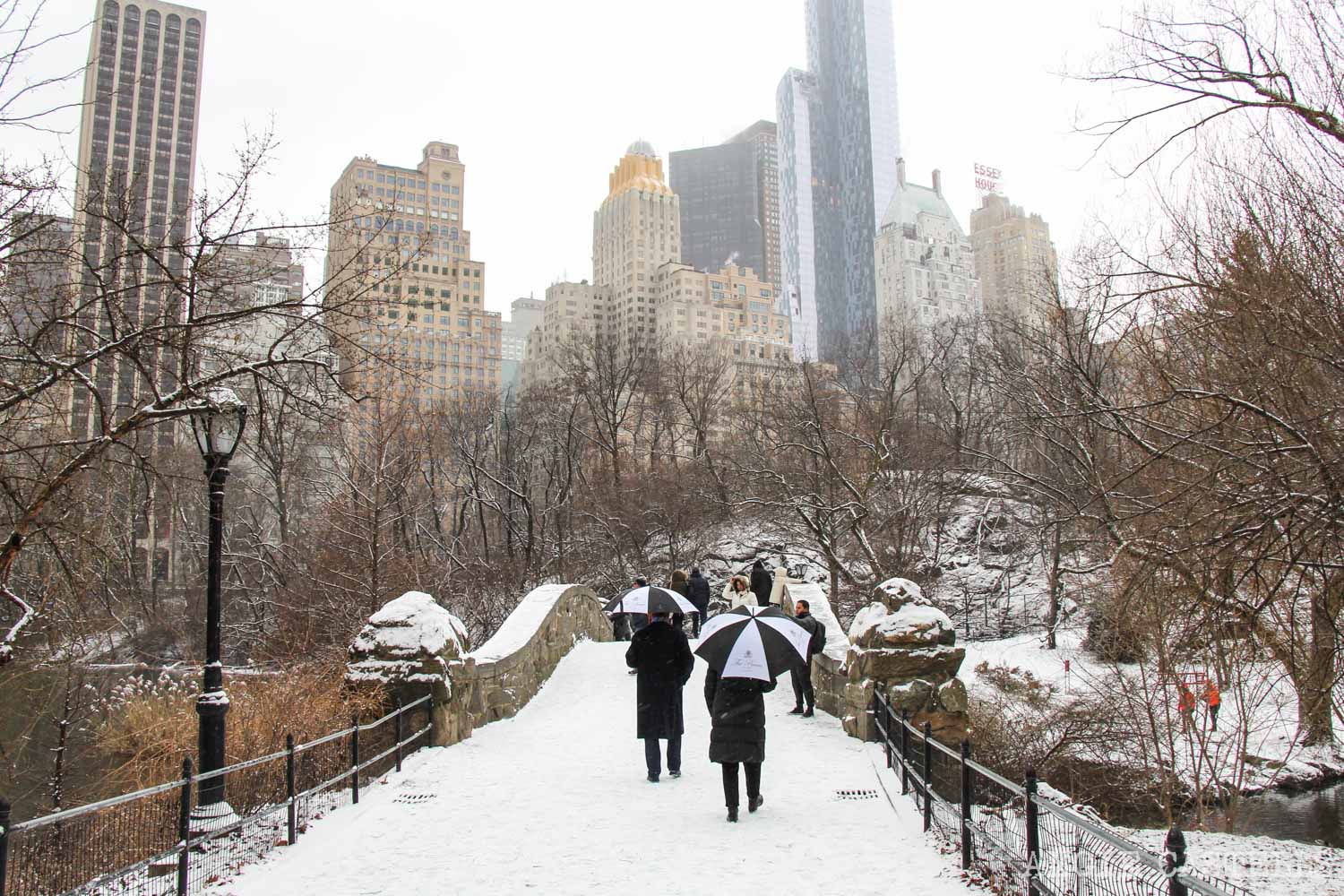 tiempo en nueva york 15 dias