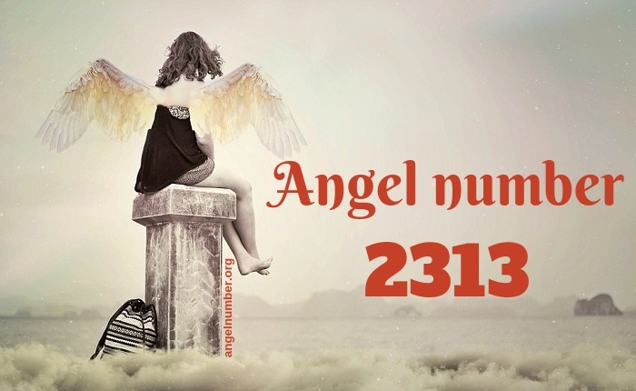 2313 angel number