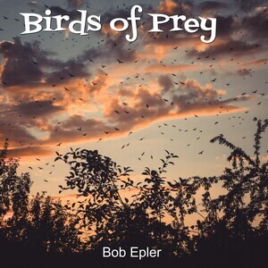 download birds of prey album