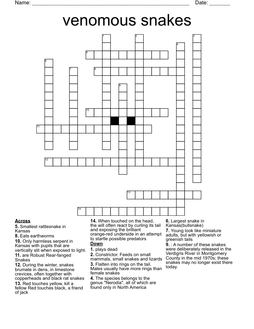 venomous snake crossword clue