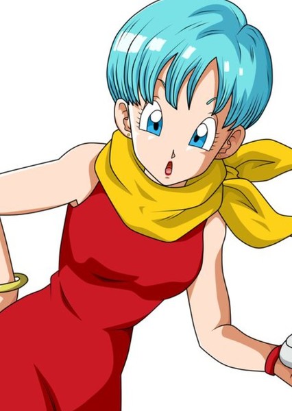 bulma briefs