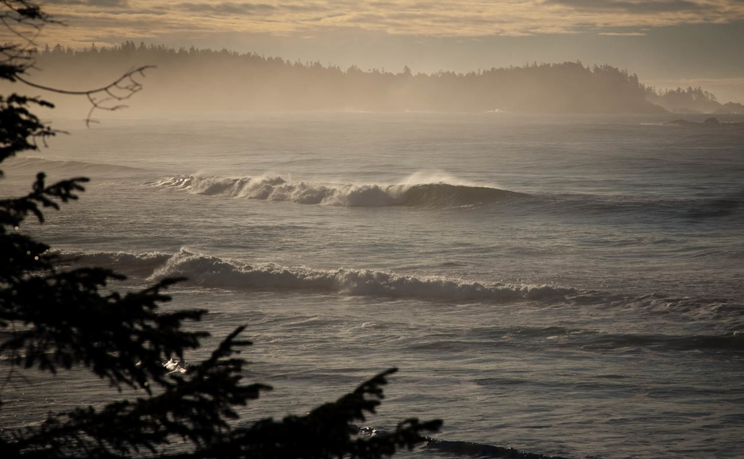 cox bay surf report