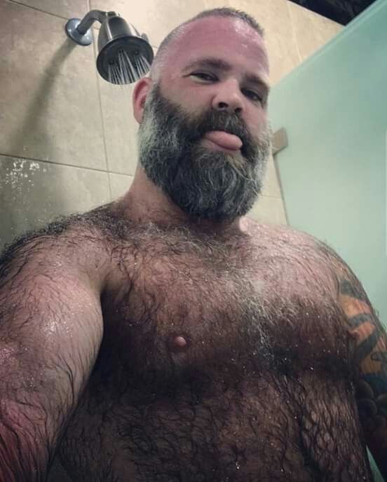 osos peludos gay