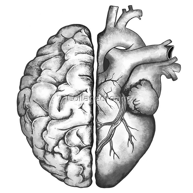 half heart half brain tattoo meaning