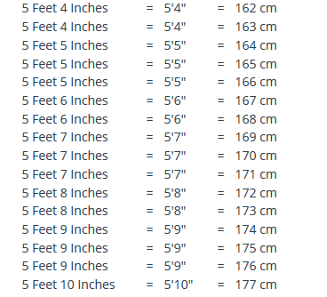 1.88 cm to feet