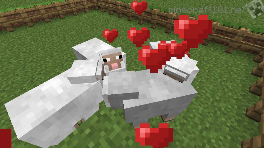 minecraft how to make sheep follow you