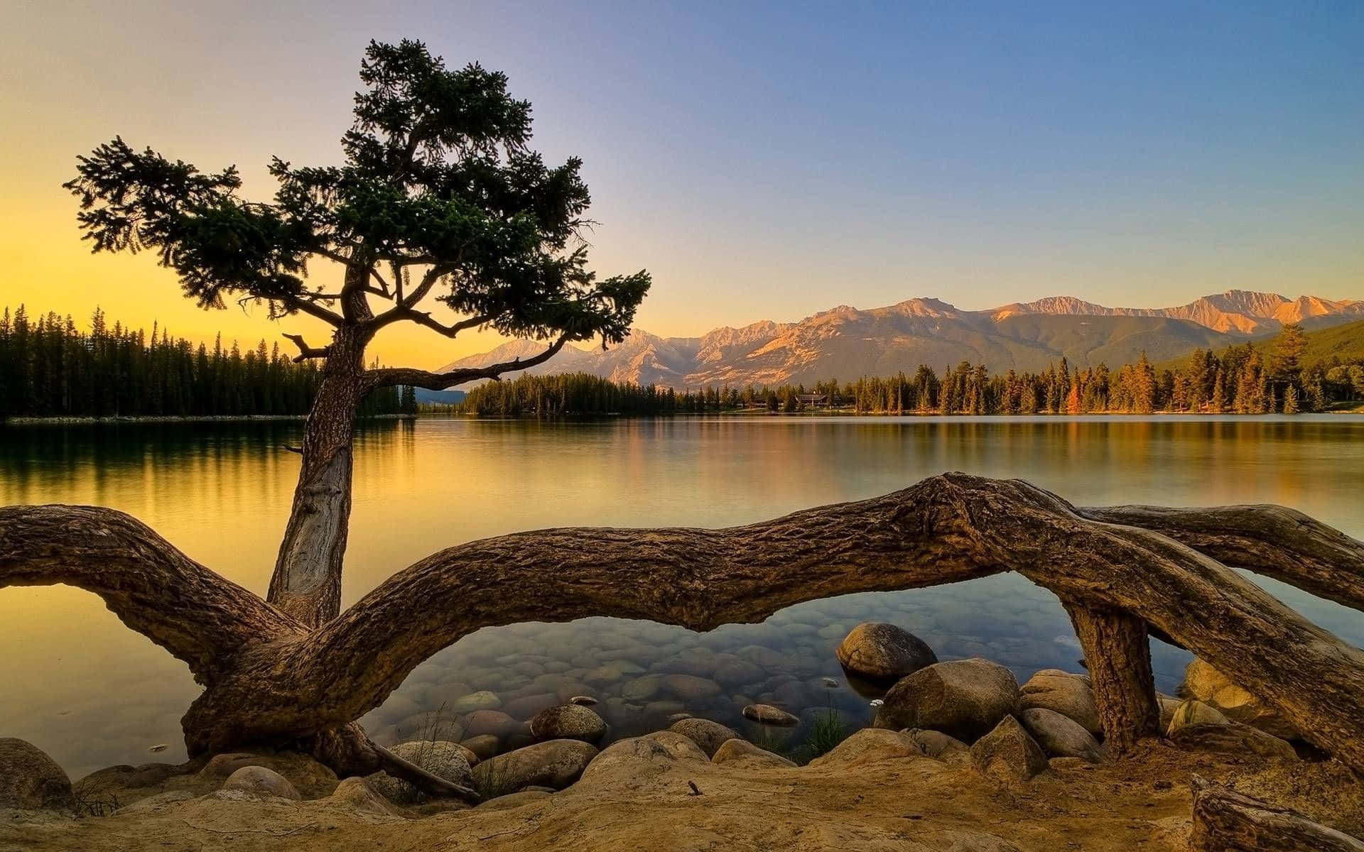 peaceful nature wallpaper