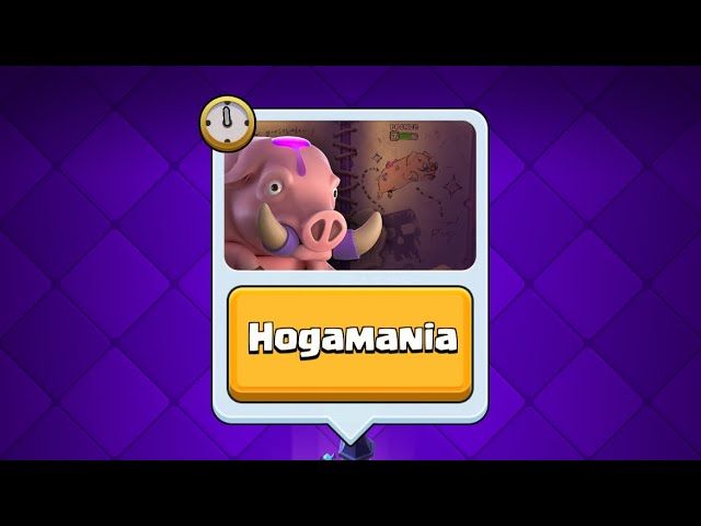 hog mania decks