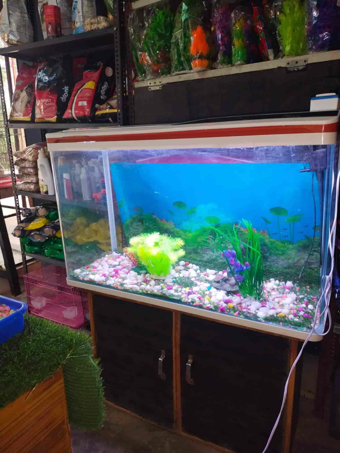 aquarium makers near me