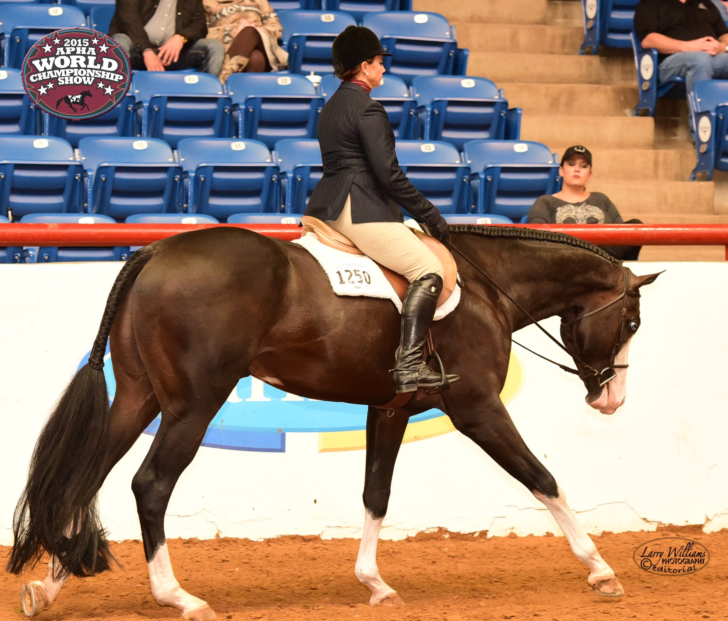 the wow factor apha