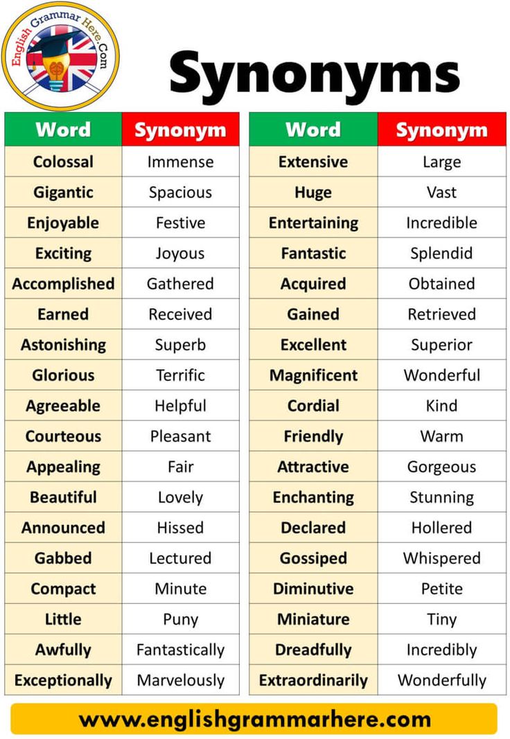 example picture of synonyms
