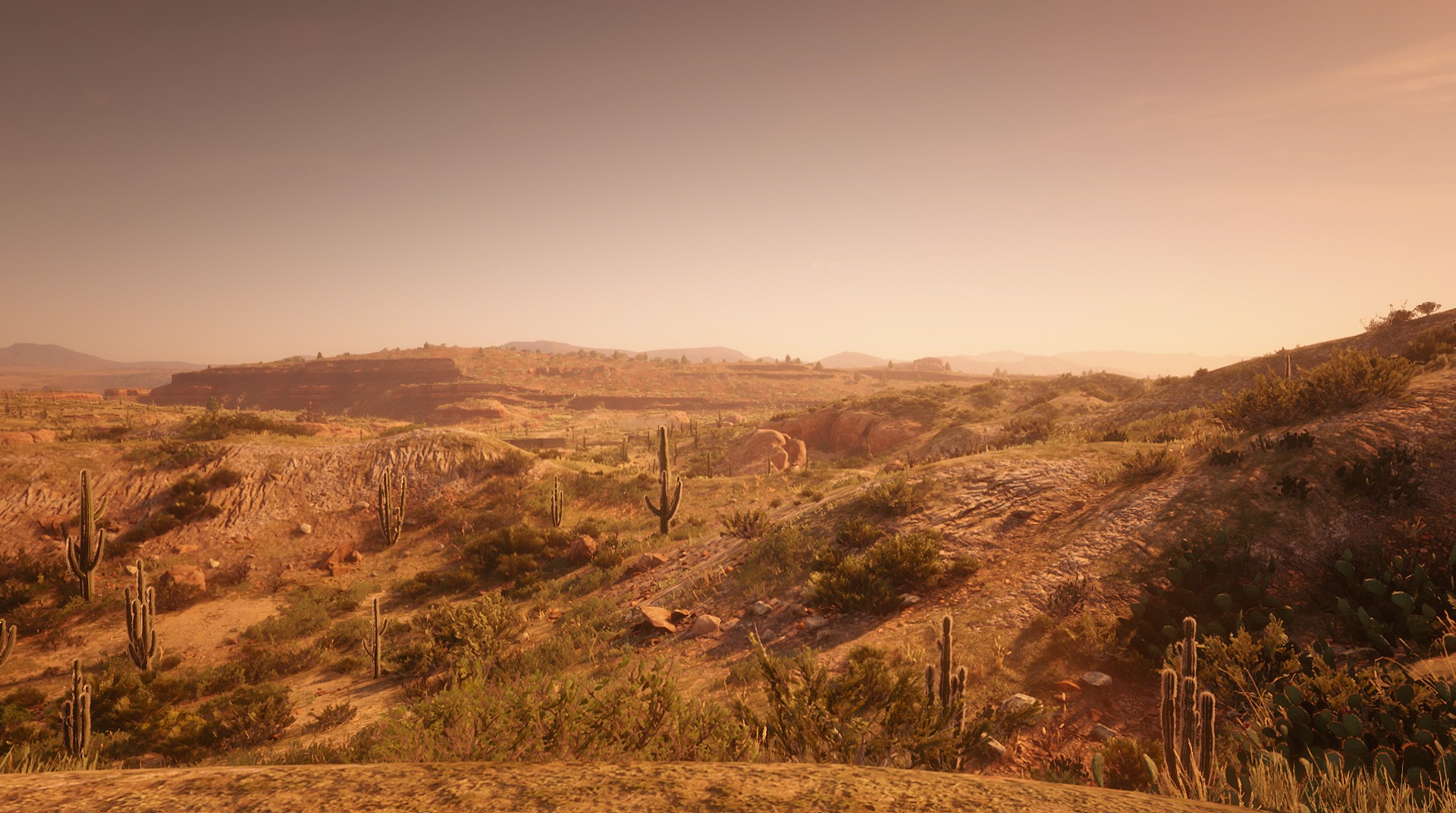 cholla springs rdr2