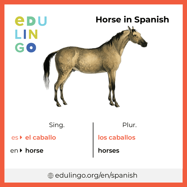 spanish word for mare