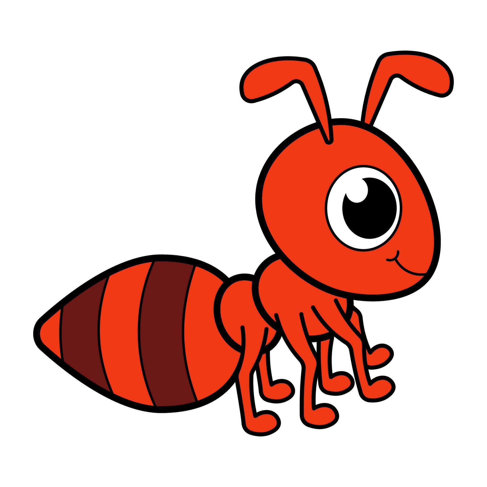 cute ant