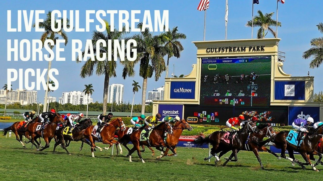 gulfstream racetrack live