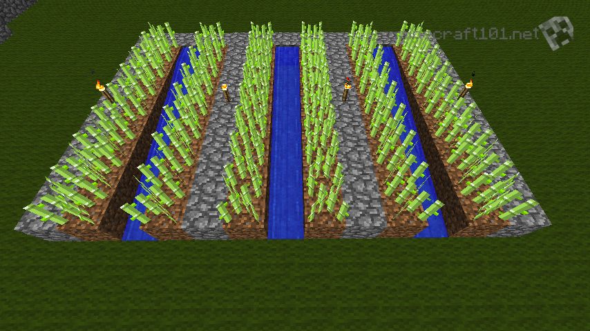 how do i plant sugarcane in minecraft