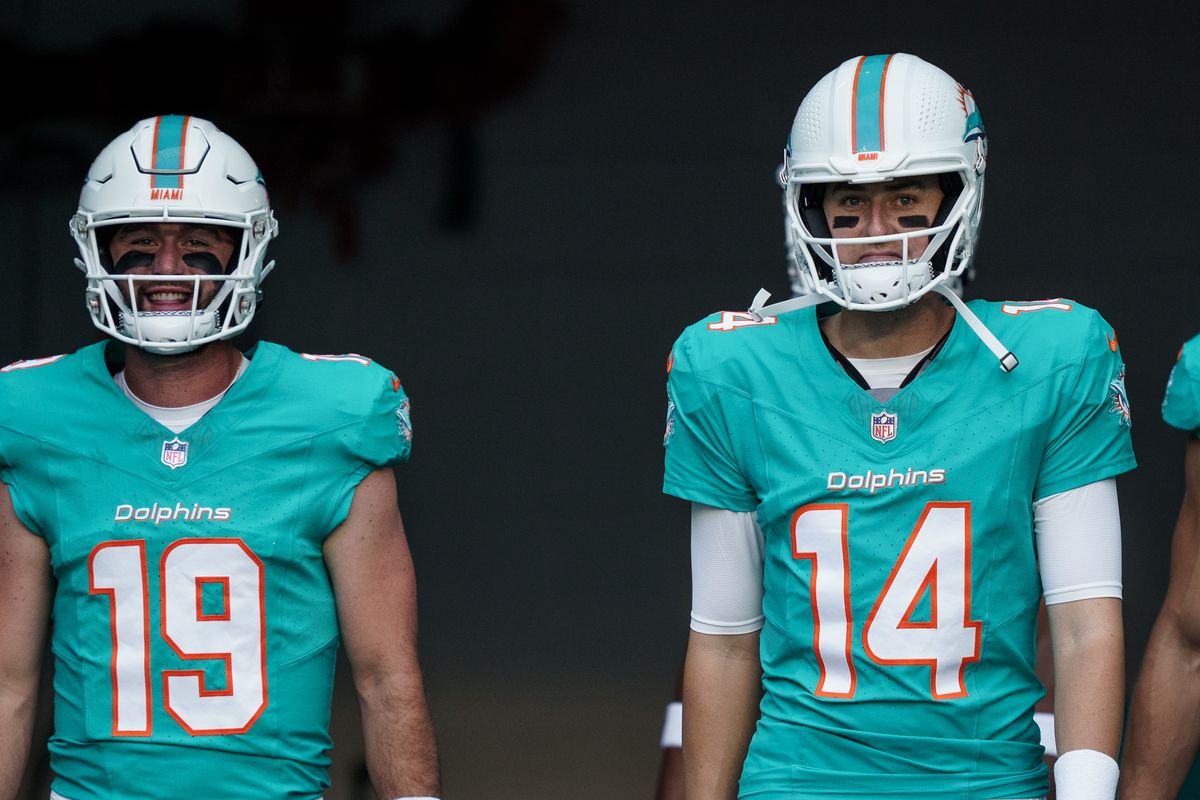 dolphins backup quarterback