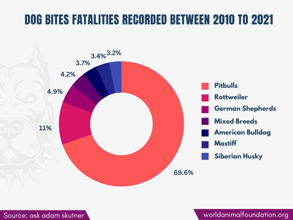 pit bull attack statistics 2018