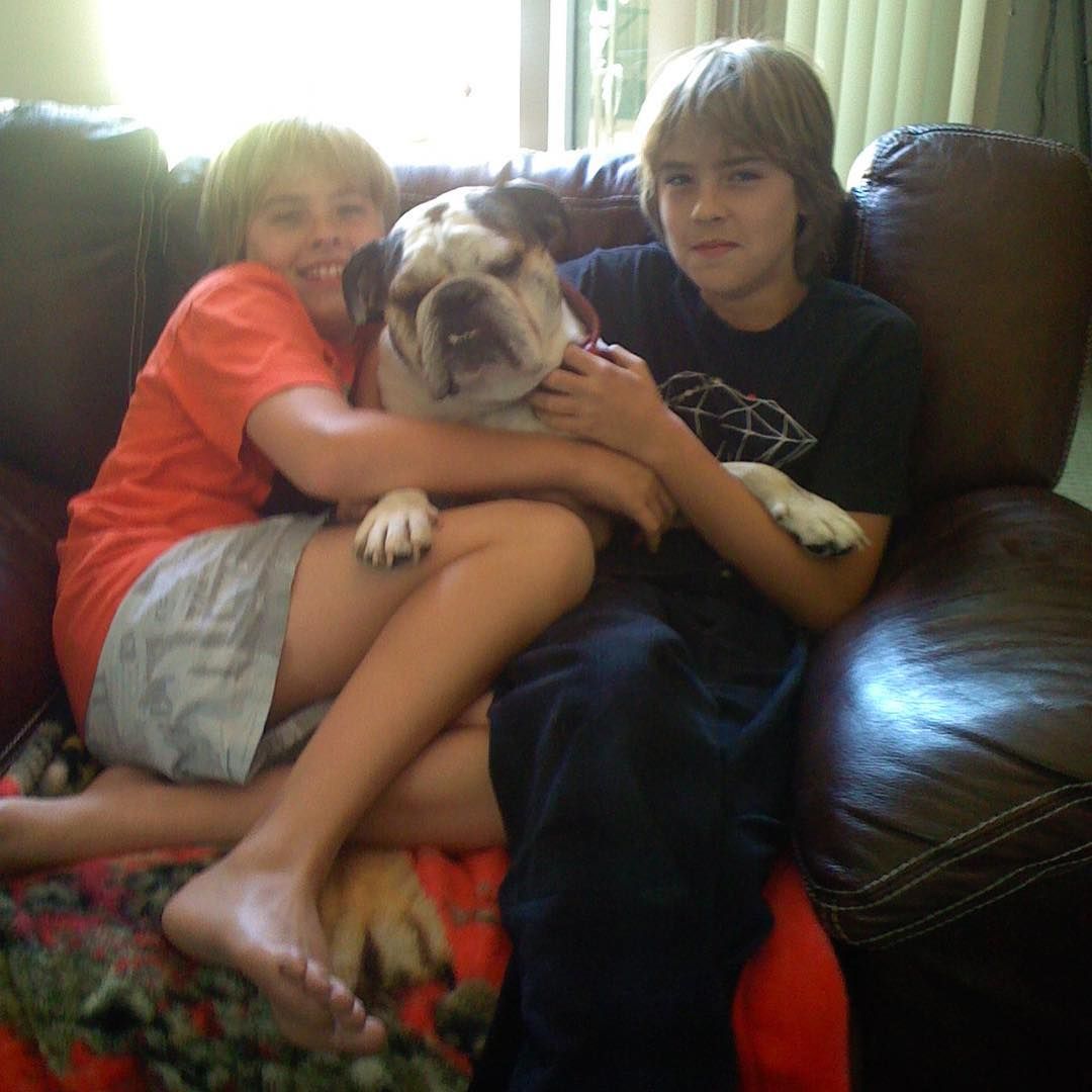cole sprouse with dogs