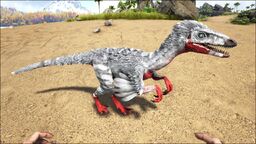 troodon ark survival