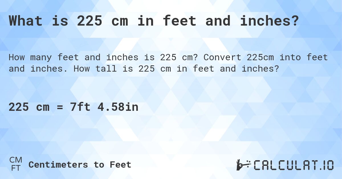 225cm in inches