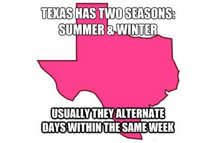 texas memes