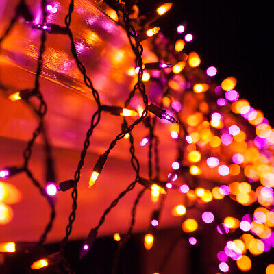 purple orange string lights