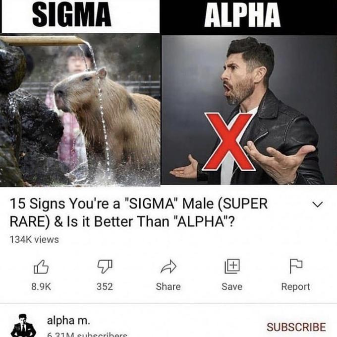 sigma male meme