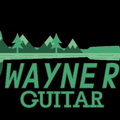 wayne r guitar