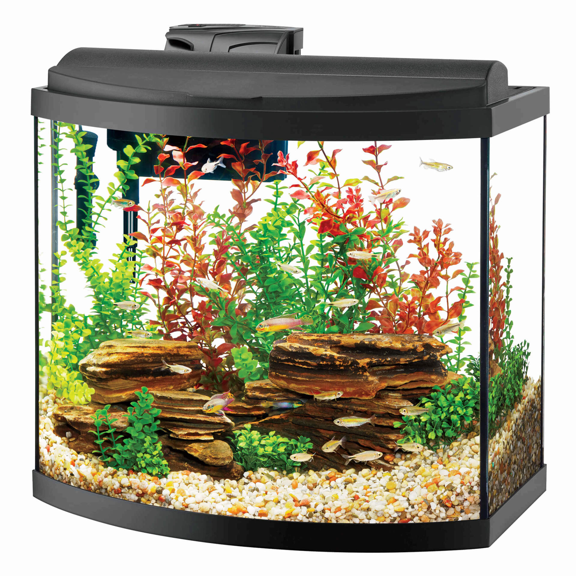 fish tank aqueon