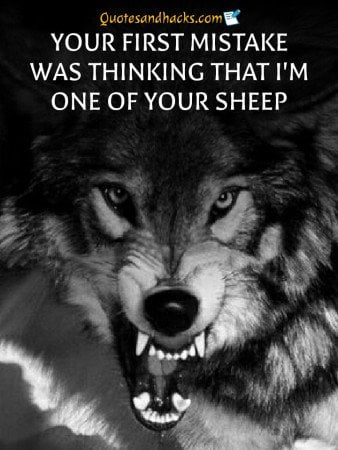 lone wolf quotes