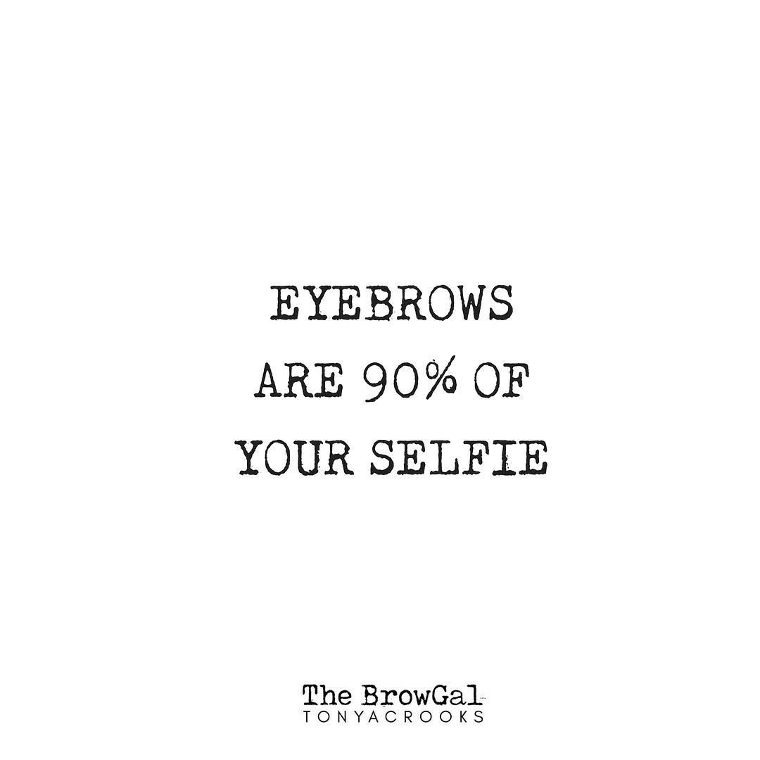 brow quote