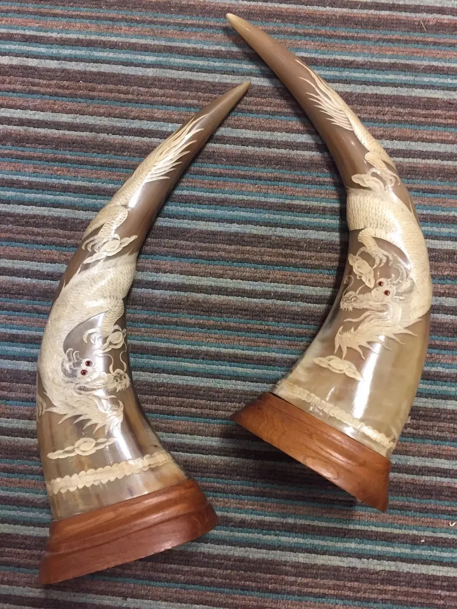 carved buffalo horns