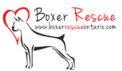 boxer rescue ontario