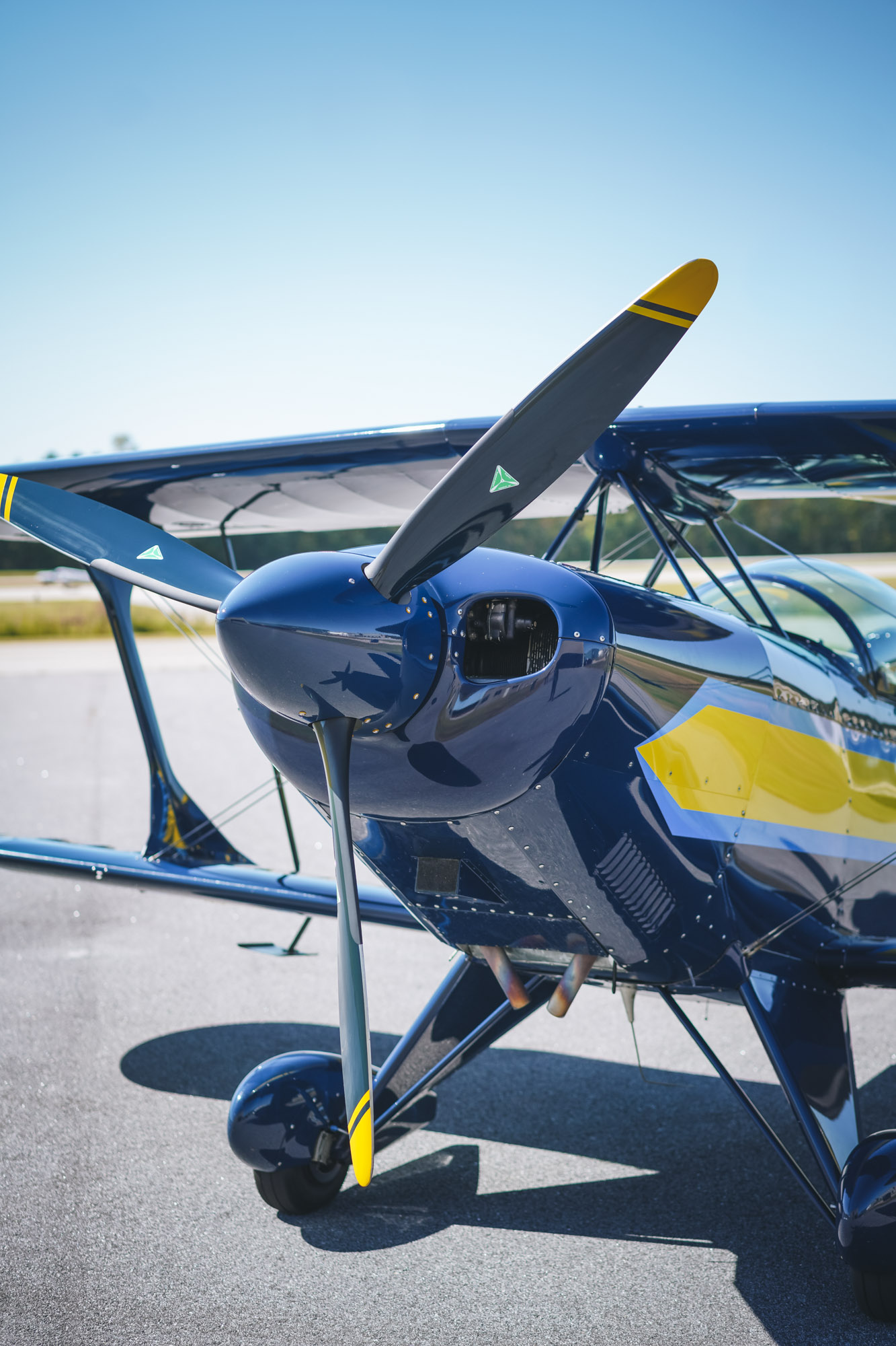 newnan flight training