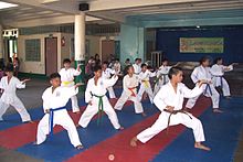 karate wikipedia español