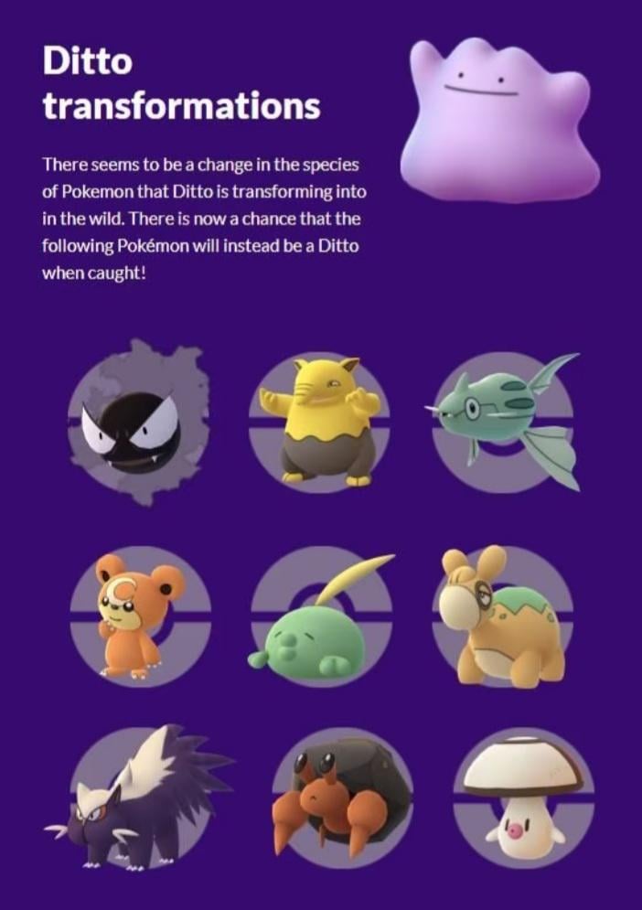 ditto november 2023