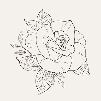 rose outline vector