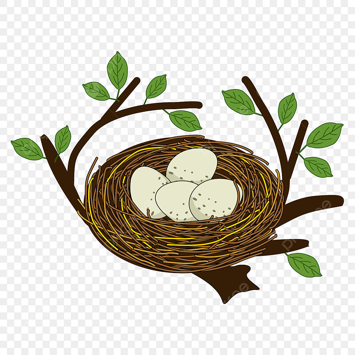 bird nest clipart