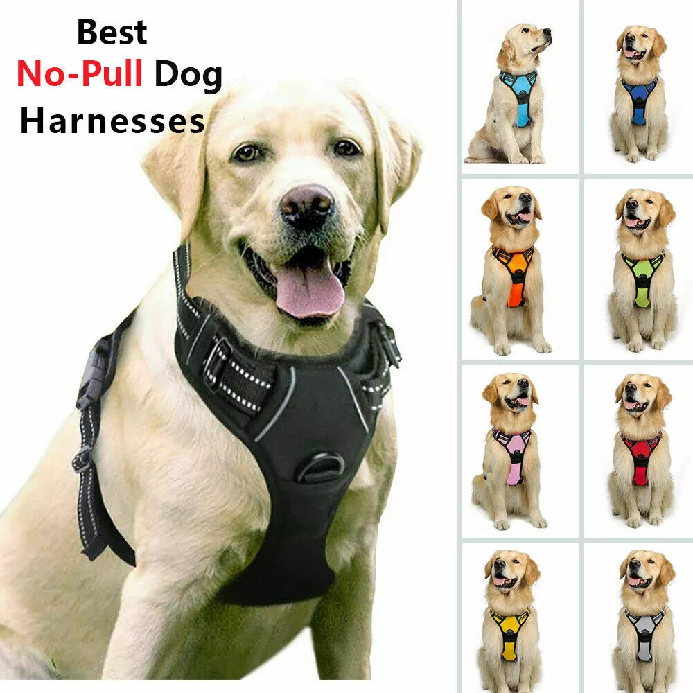 rabbitgoo dog harness uk