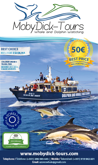 moby dick tours