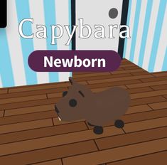 capybara adopt me