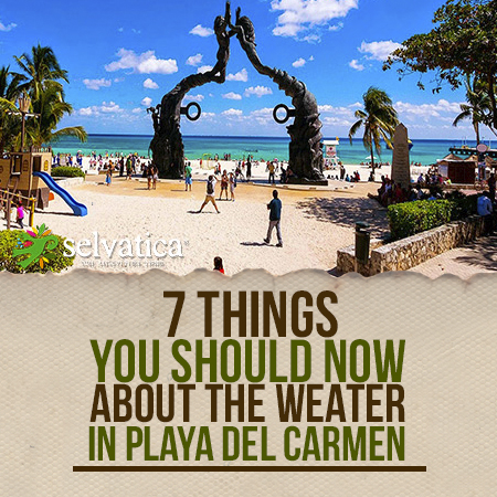 weather channel playa del carmen