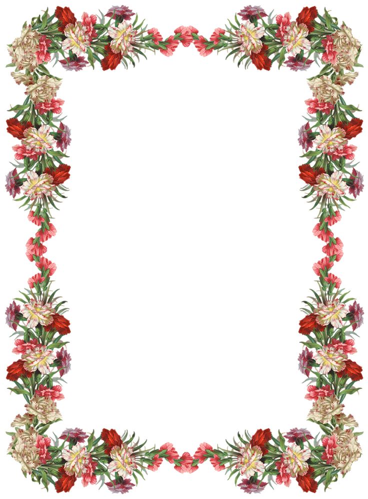 transparent blumenrahmen