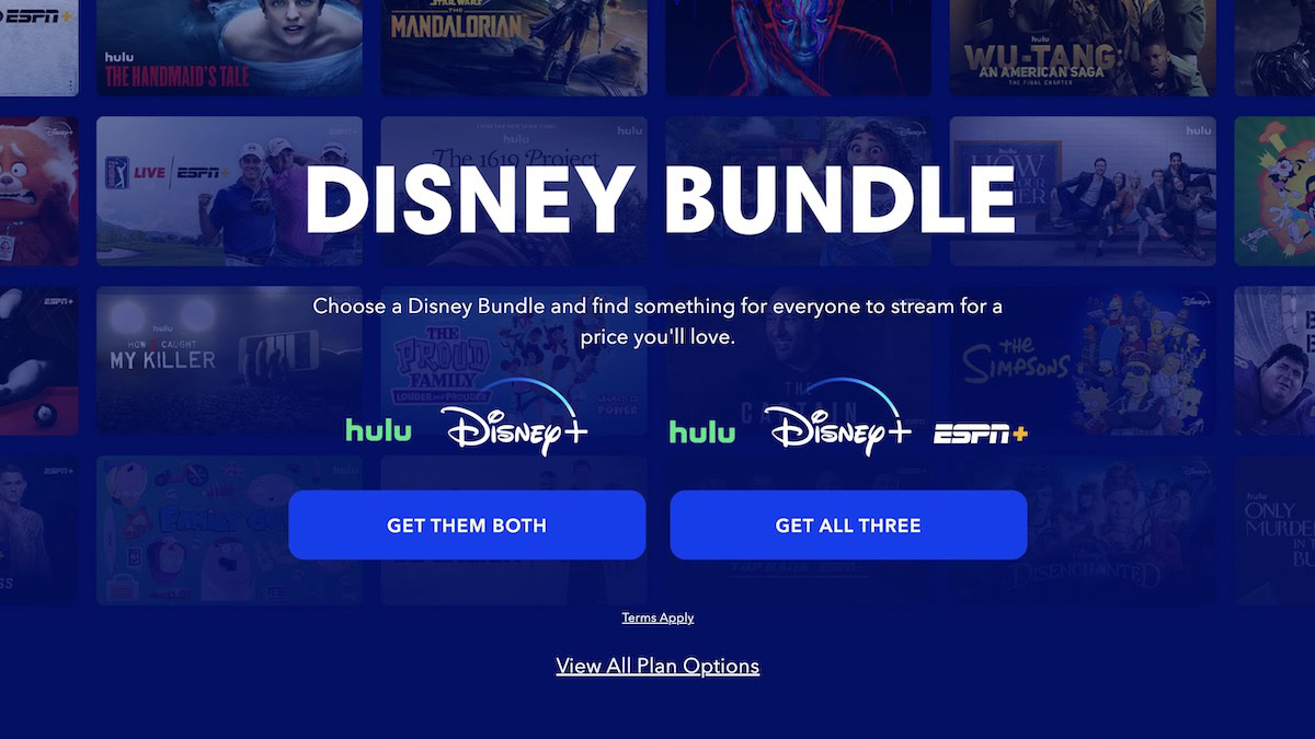 get disney bundle