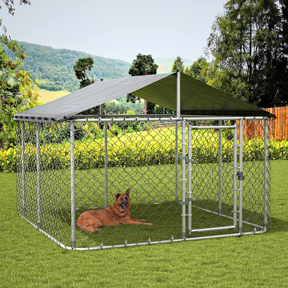 large outdoor kennel