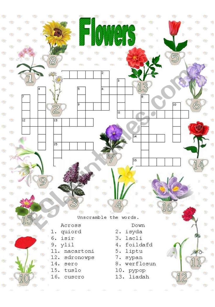 a small flower crossword