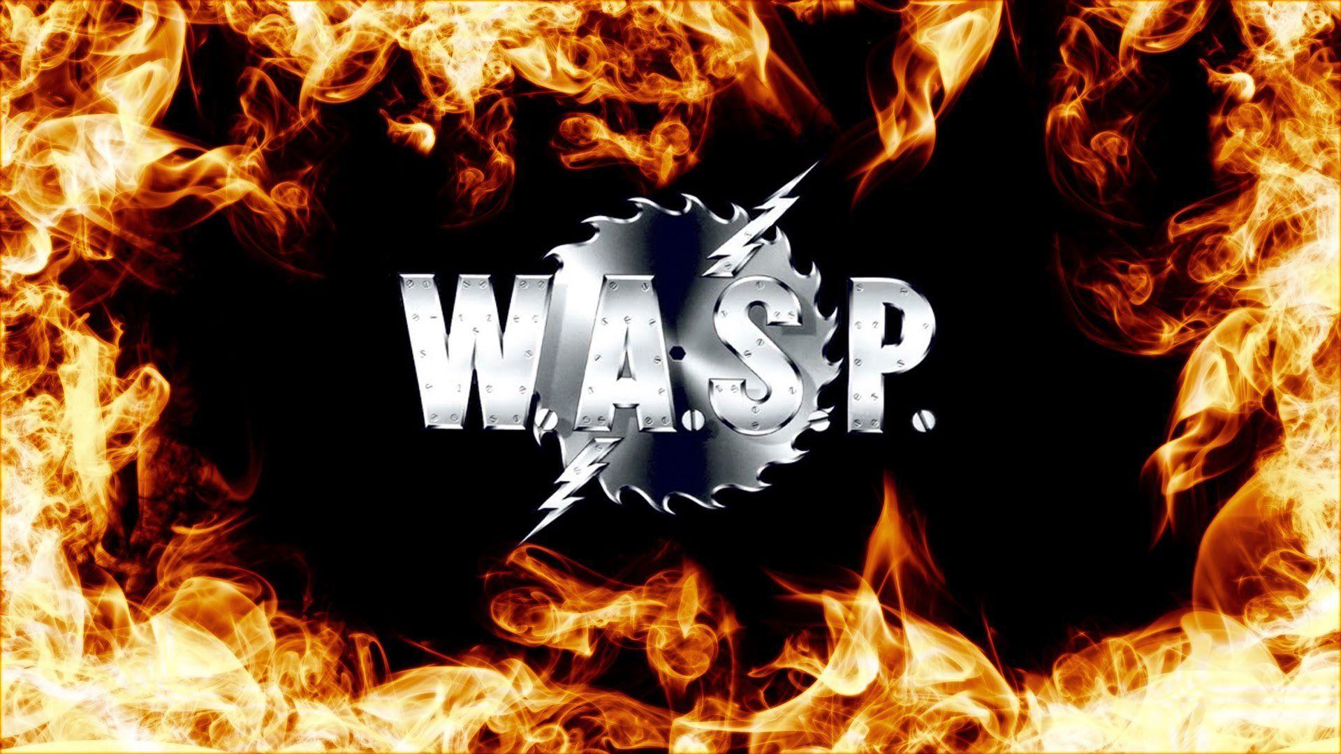 wasp band wallpaper