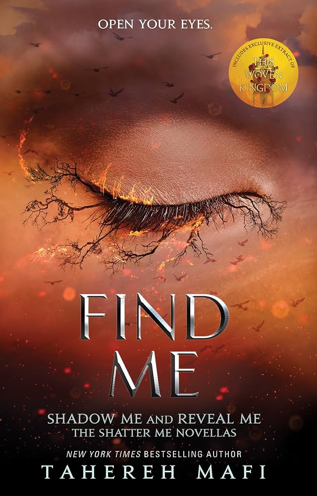 find me kitap özeti